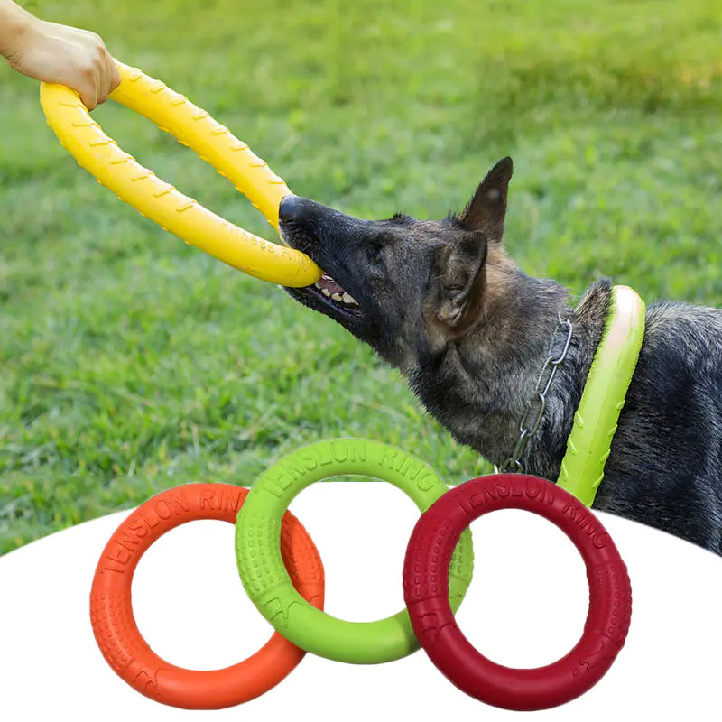 Interactive Dog Puller Ring – Floating Training Toy