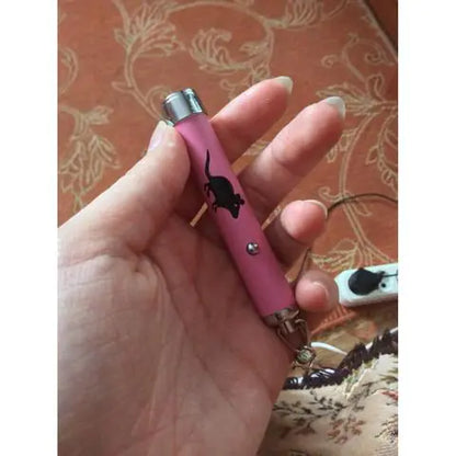 Interactive Cat Flashlight Toy with Mouse Projection