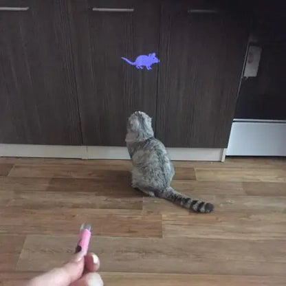 Interactive Cat Flashlight Toy with Mouse Projection