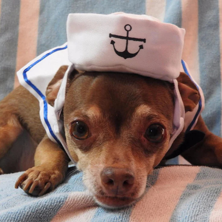 Navy Sailor Outfit for Cats – Warm Pet Costume