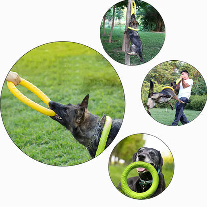 Interactive Dog Puller Ring – Floating Training Toy
