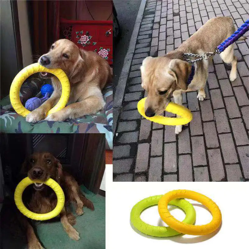 Interactive Dog Puller Ring – Floating Training Toy